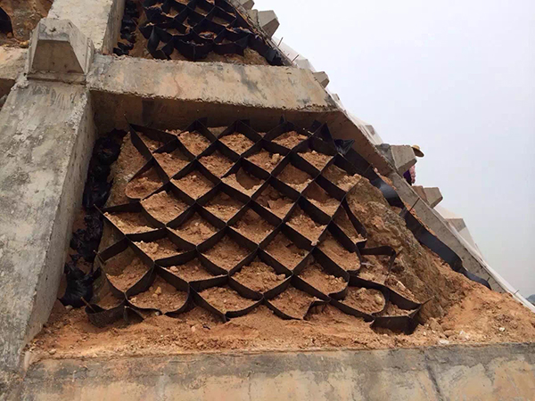 蜂巢格室厂家推荐山东万旭工程材料